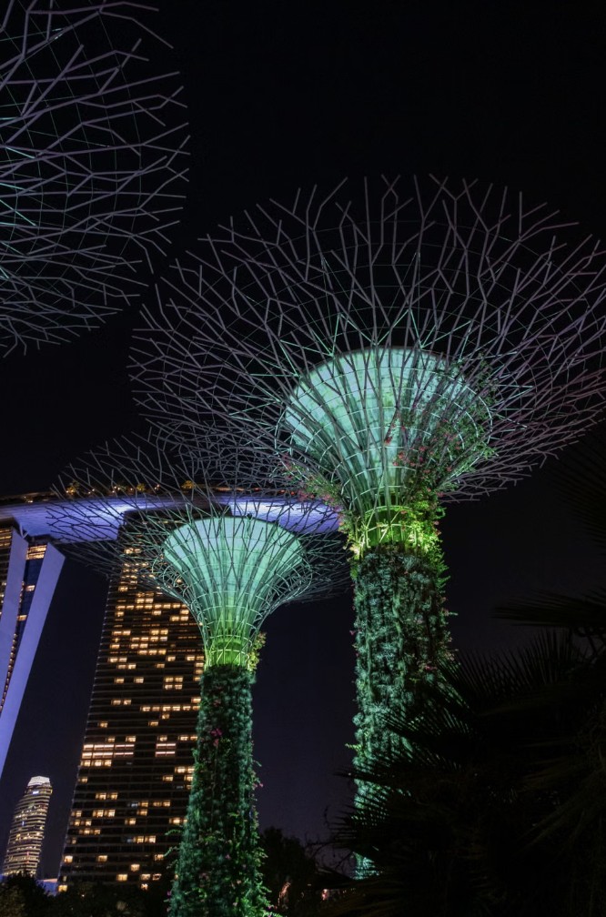 Supertrees at Gardens by the Bay lit at night, with Marina Bay Sands behind them, Singapore
